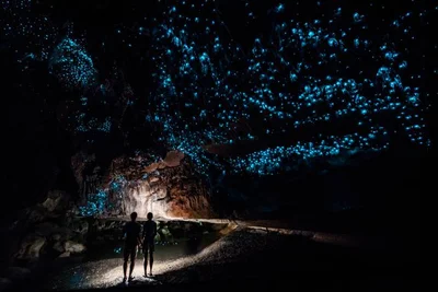 Waitomo Caves - Photo 4