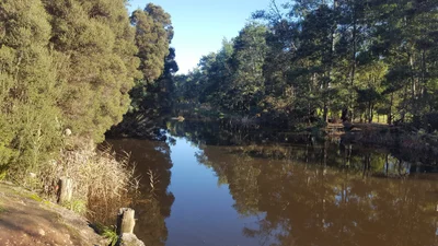Latrobe - Photo 3