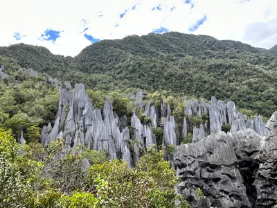 Gunung Mulu National Park - Photo 3