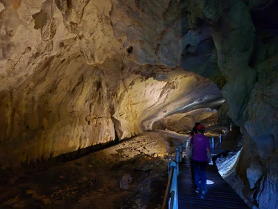 Gunung Mulu National Park - Photo 5