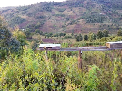 Lushoto - Photo 2