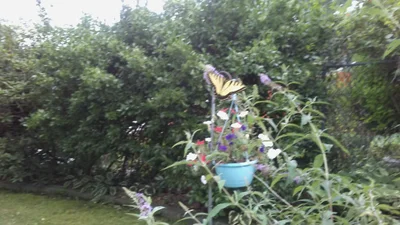 Farmingville - Photo 4