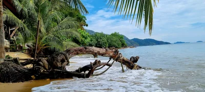 Ko Chang - Photo 5