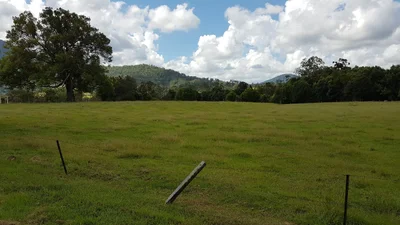 Tyalgum - Photo 4