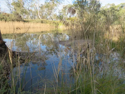 Dimboola - Photo 2