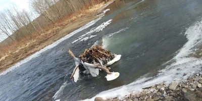 Wyalusing - Photo 4