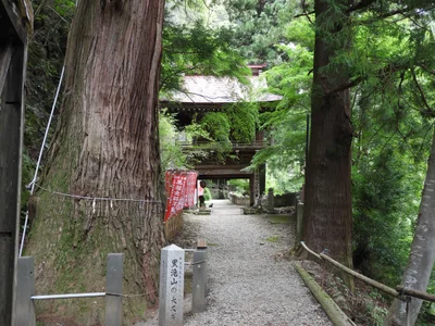Tano-gun - Photo 2