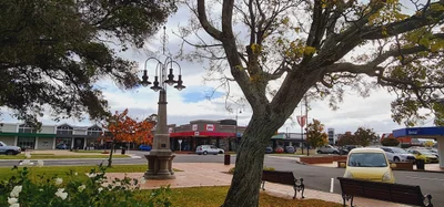 Feilding - Photo 4