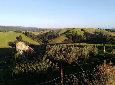 Lawrence - Photo 3