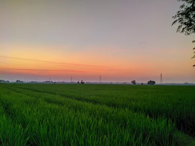 Imakane - Photo 2