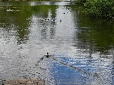 Perth and Kinross - Photo 3