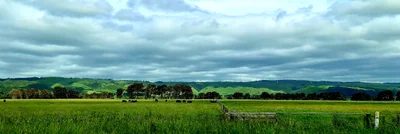 Ashhurst - Photo 3