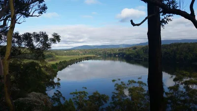 Shoalhaven - Photo 5
