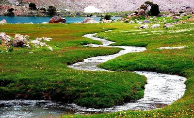 Bokhtar - Photo 4