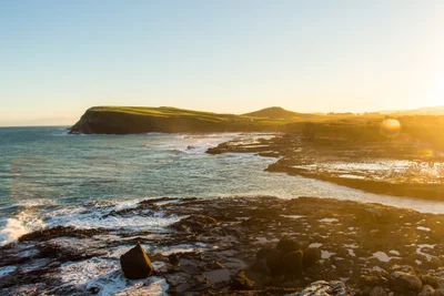 Curio Bay - Photo 2