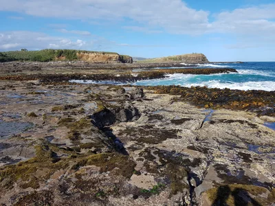 Curio Bay - Photo 3
