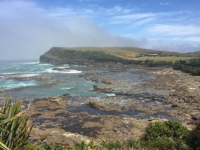 Curio Bay - Photo 5