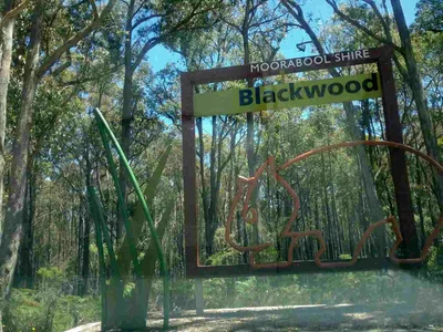 Blackwood - Photo 3