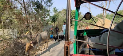 Sunamganj - Photo 2