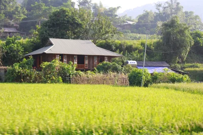 Mù Cang Chải - Photo 2