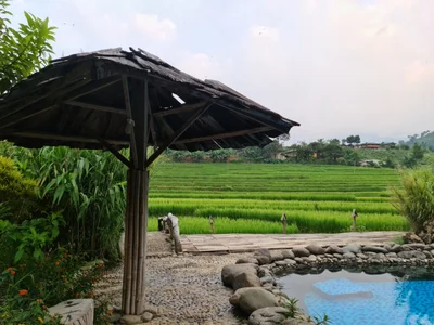 Mù Cang Chải - Photo 3