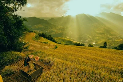 Mù Cang Chải - Photo 5