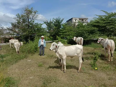 Kampong Cham - Photo 4