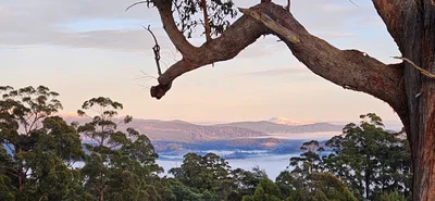 Wattle Grove - Photo 3