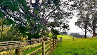 Wattle Grove - Photo 5