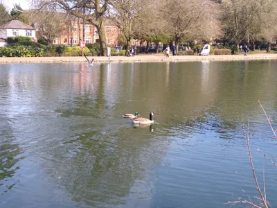 West Midlands - Photo 5