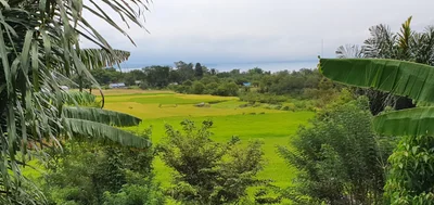 Balige - Photo 3