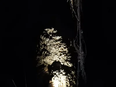 The Caves - Photo 5