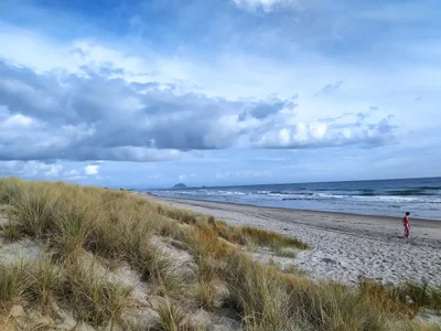 Papamoa - Photo 2