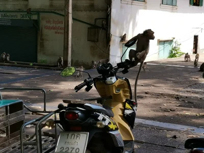 Khao Chakan - Photo 4