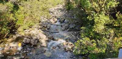 Taranaki Region - Photo 2