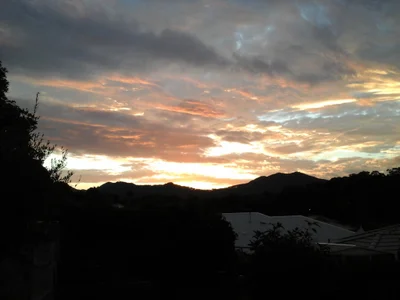 Ungarie - Photo 3