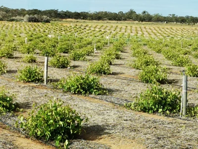 Monash - Photo 2