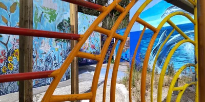Kawakawa - Photo 4