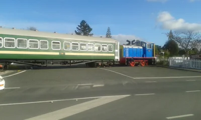 Kawakawa - Photo 5