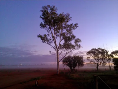 Carnamah - Photo 5