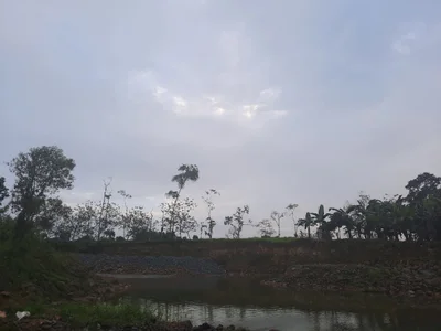 El Guabo - Photo 4