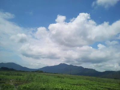 El Guabo - Photo 5