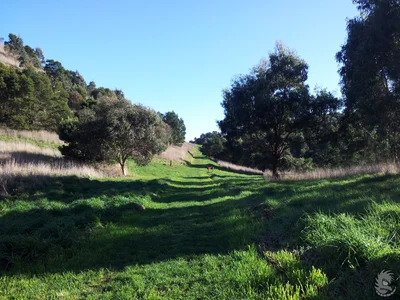 Camperdown - Photo 2