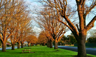 Camperdown - Photo 3