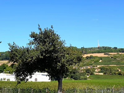 Paarl - Photo 3