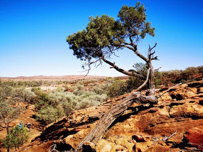 Mutawintji National Park - Photo 4