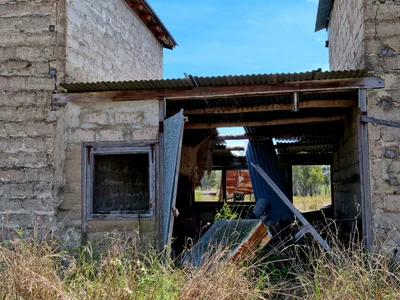 Texas - Photo 4