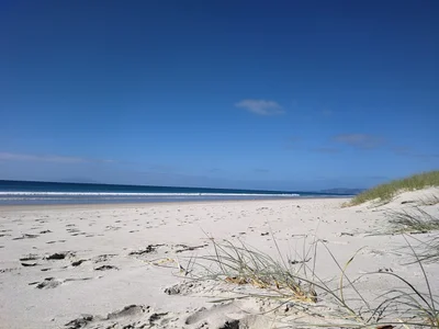 Mangawhai - Photo 4