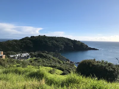Mangawhai - Photo 5