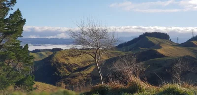 Hawke's Bay Region - Photo 2